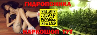 герыч Можга