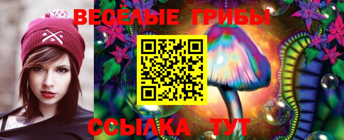 цены наркотик  Вход с VPN  Будённовск  Псилоцибиновые грибы Psilocybe 