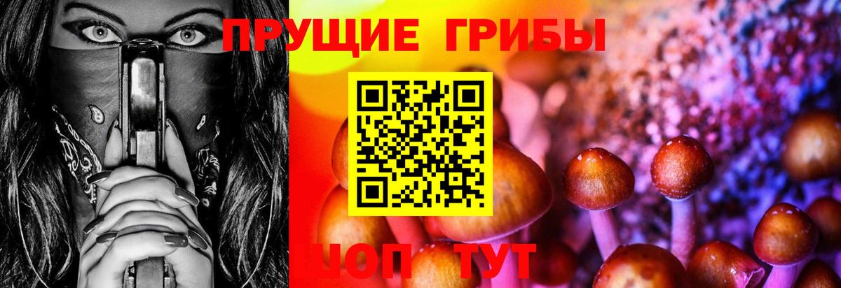 Псилоцибиновые грибы мицелий Будённовск